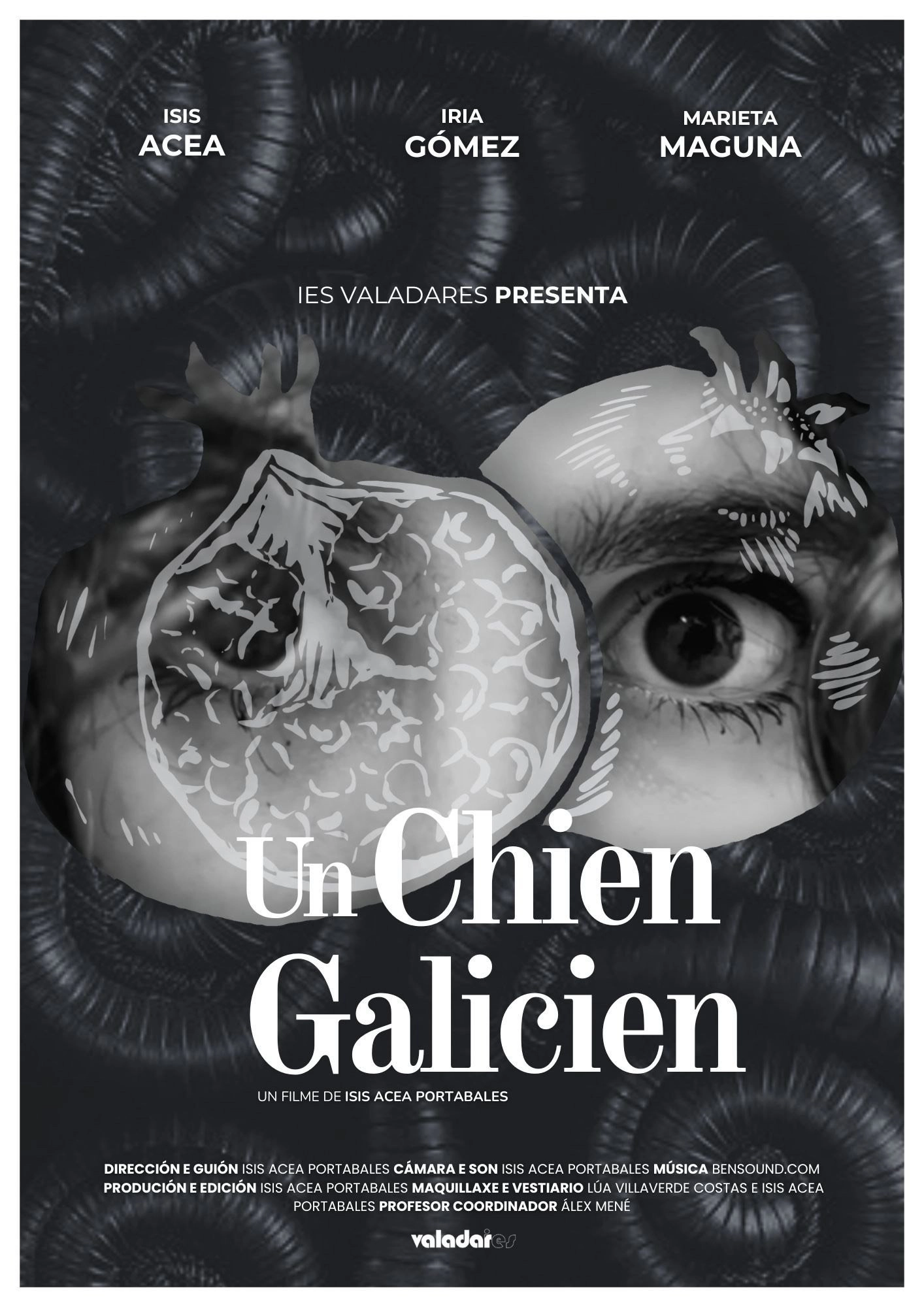 Un chien galicien