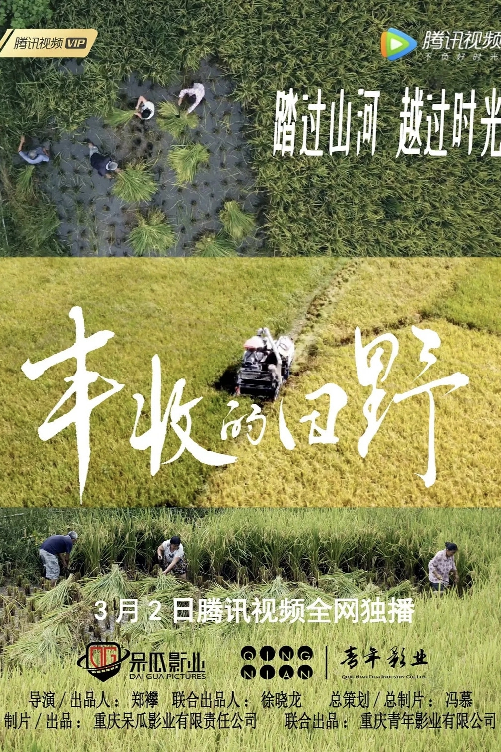 丰收的田野