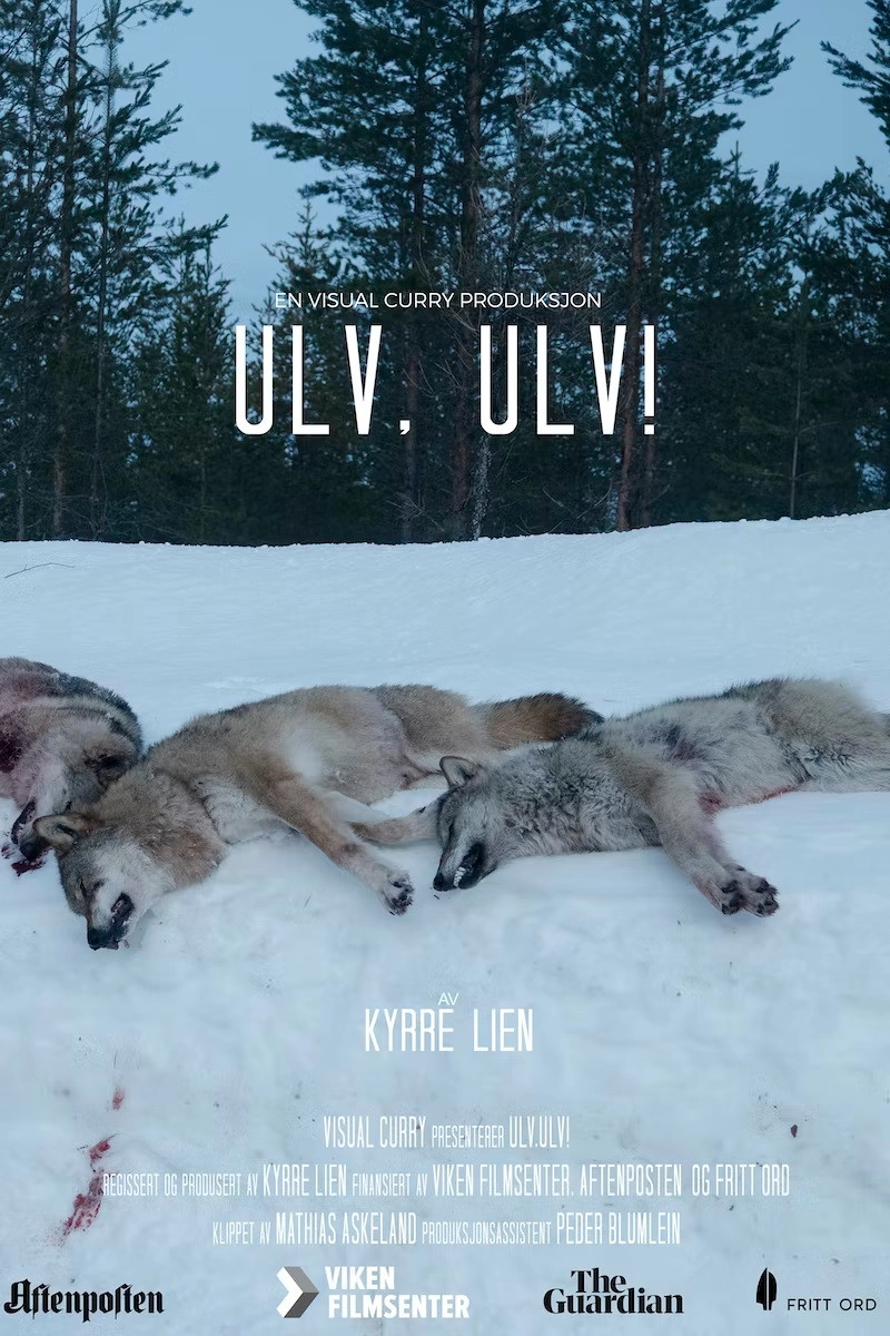 The Wolf Dividing Norway