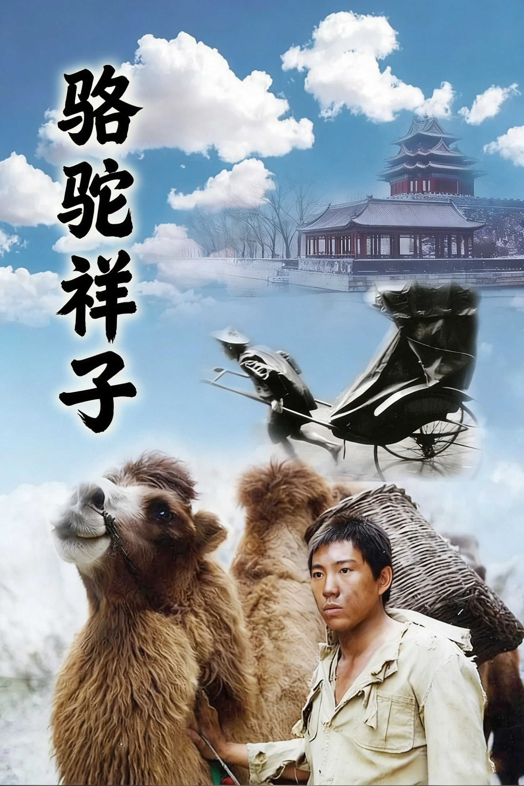 骆驼祥子