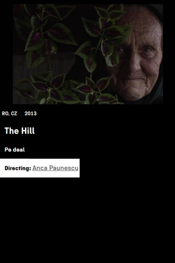 The Hill