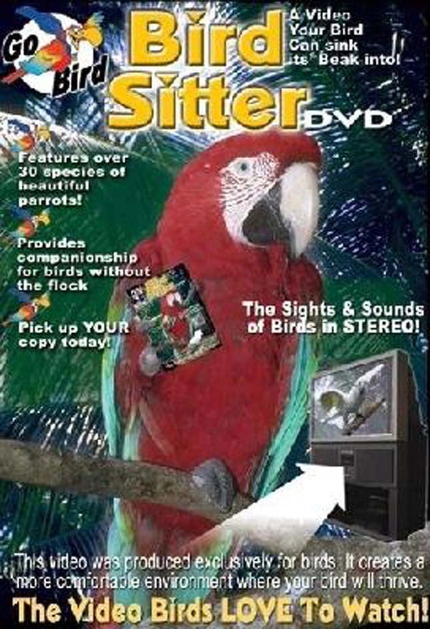 Bird Sitter