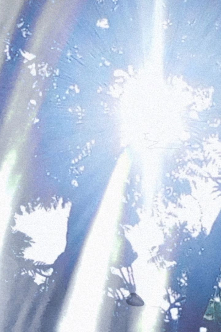 phenomenon