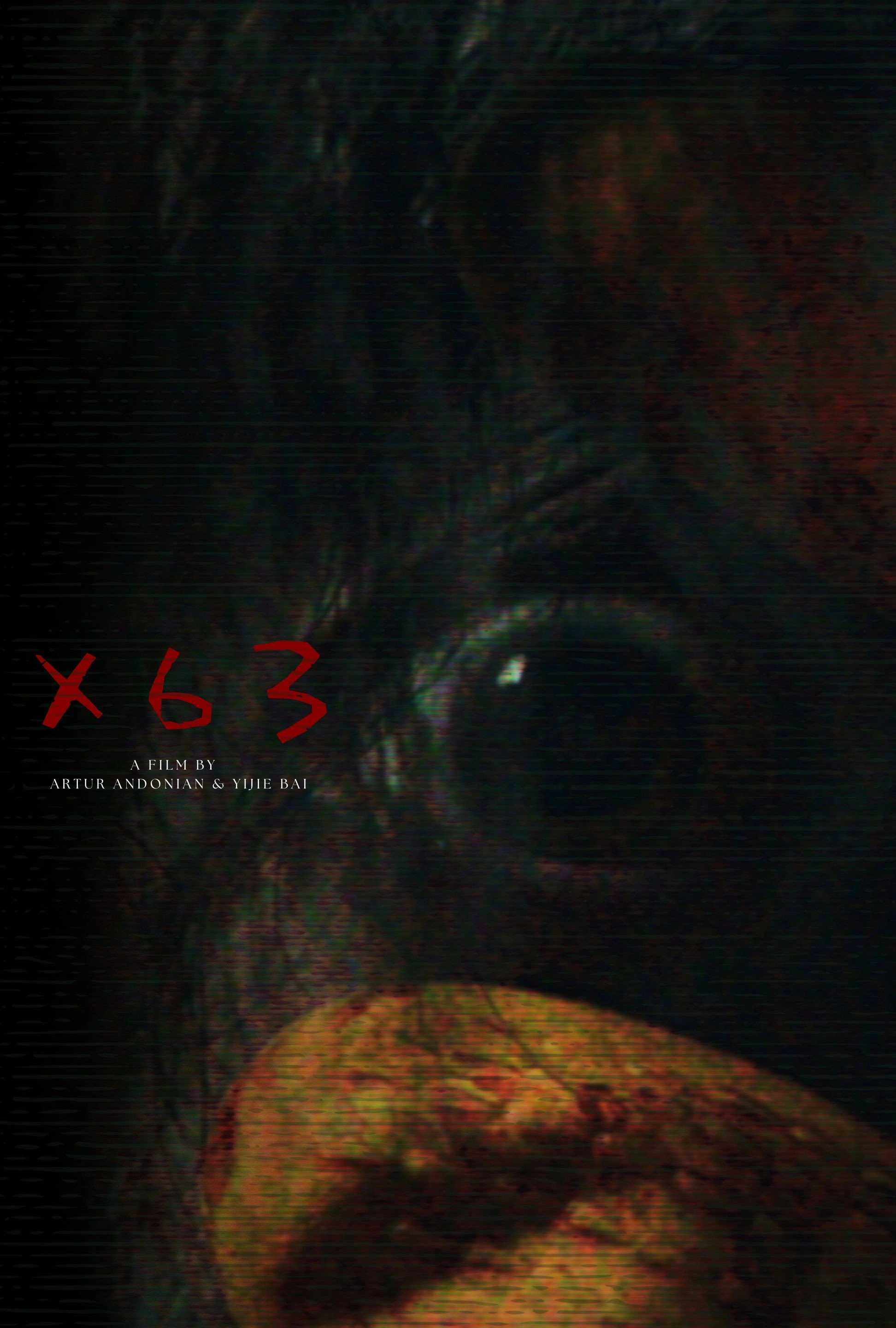 X63