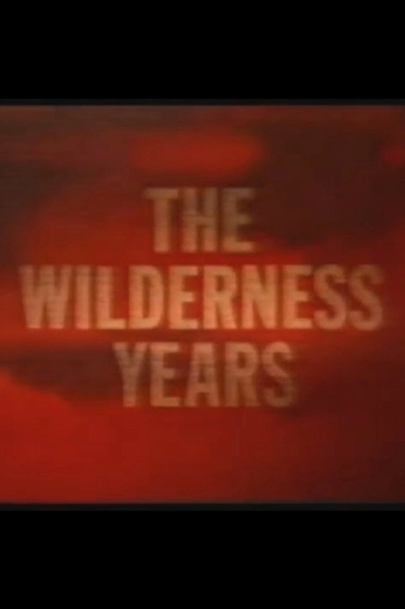The Wilderness Years