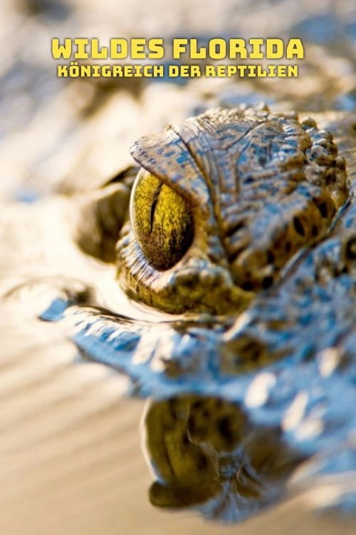 Reptile Kingdom