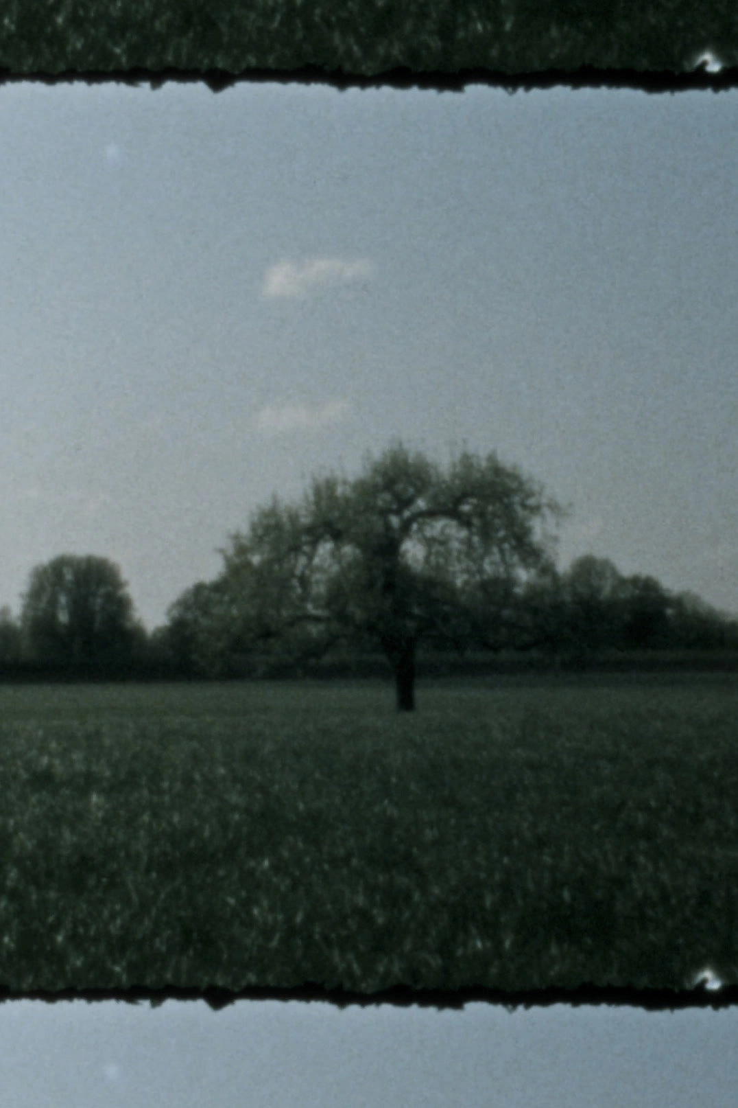 Landscape as Landscape 3