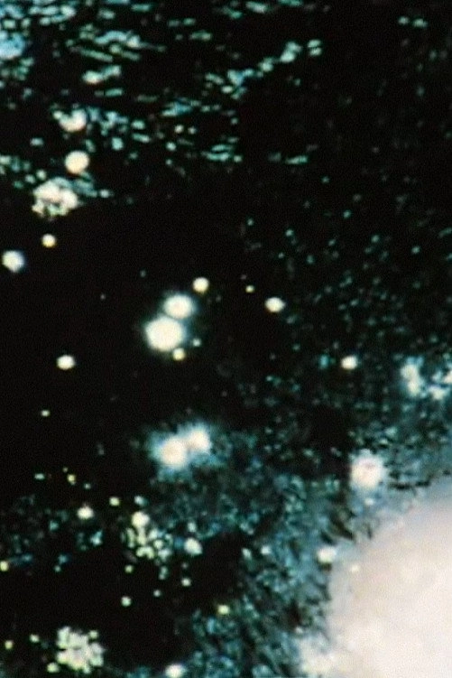 Moon Streams