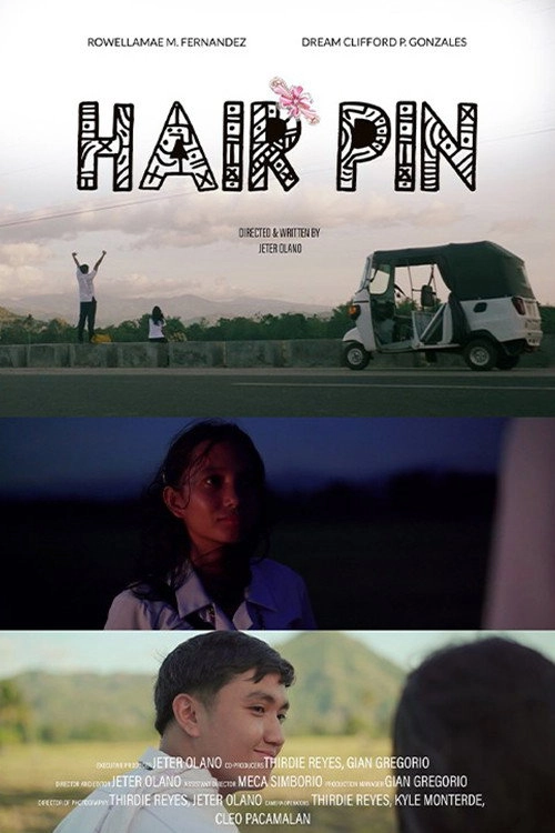 Hair Pin