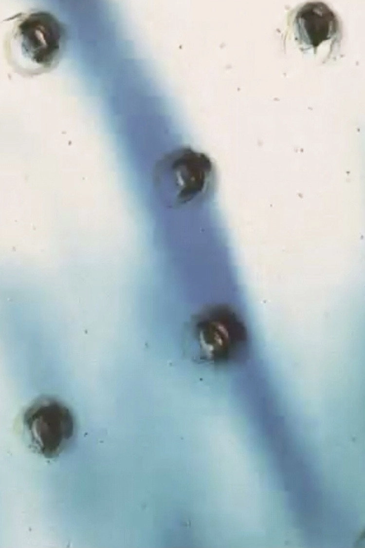 Uzushio -Whirling Current-