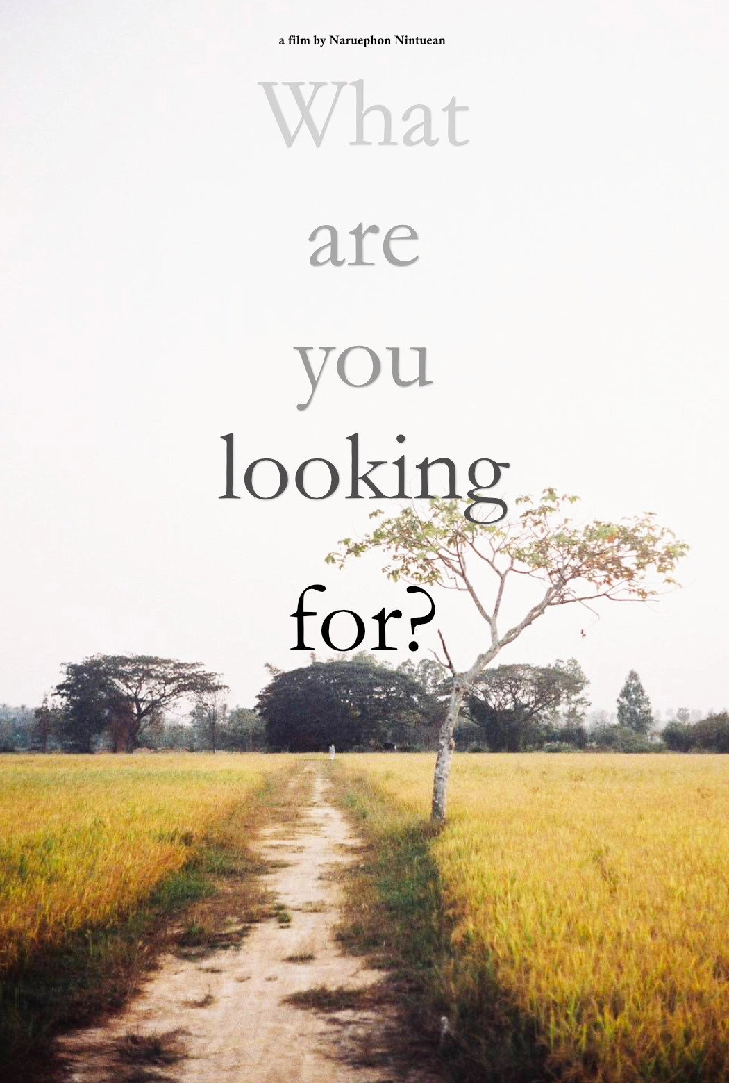 What are you looking for?