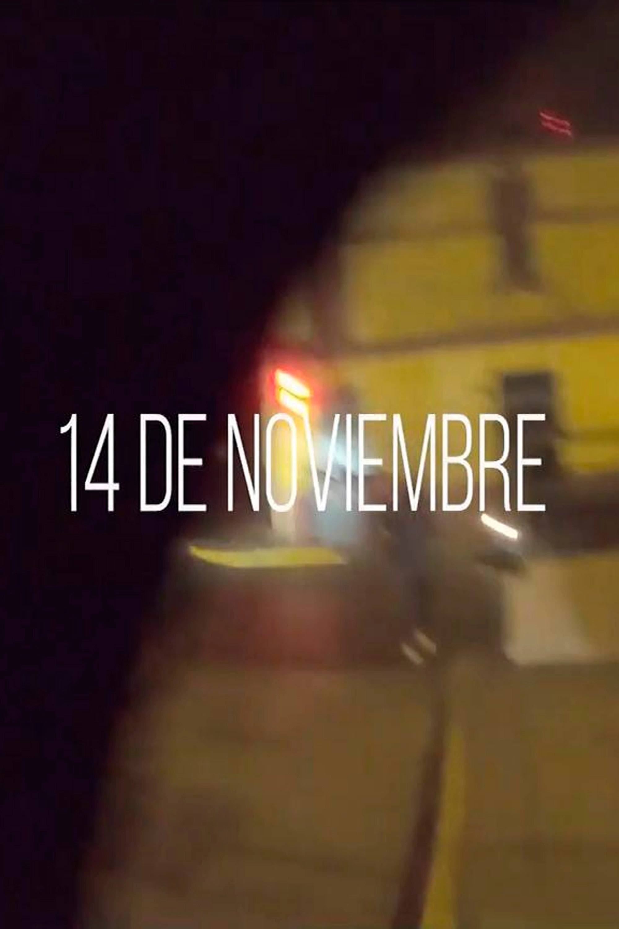 14 de noviembre