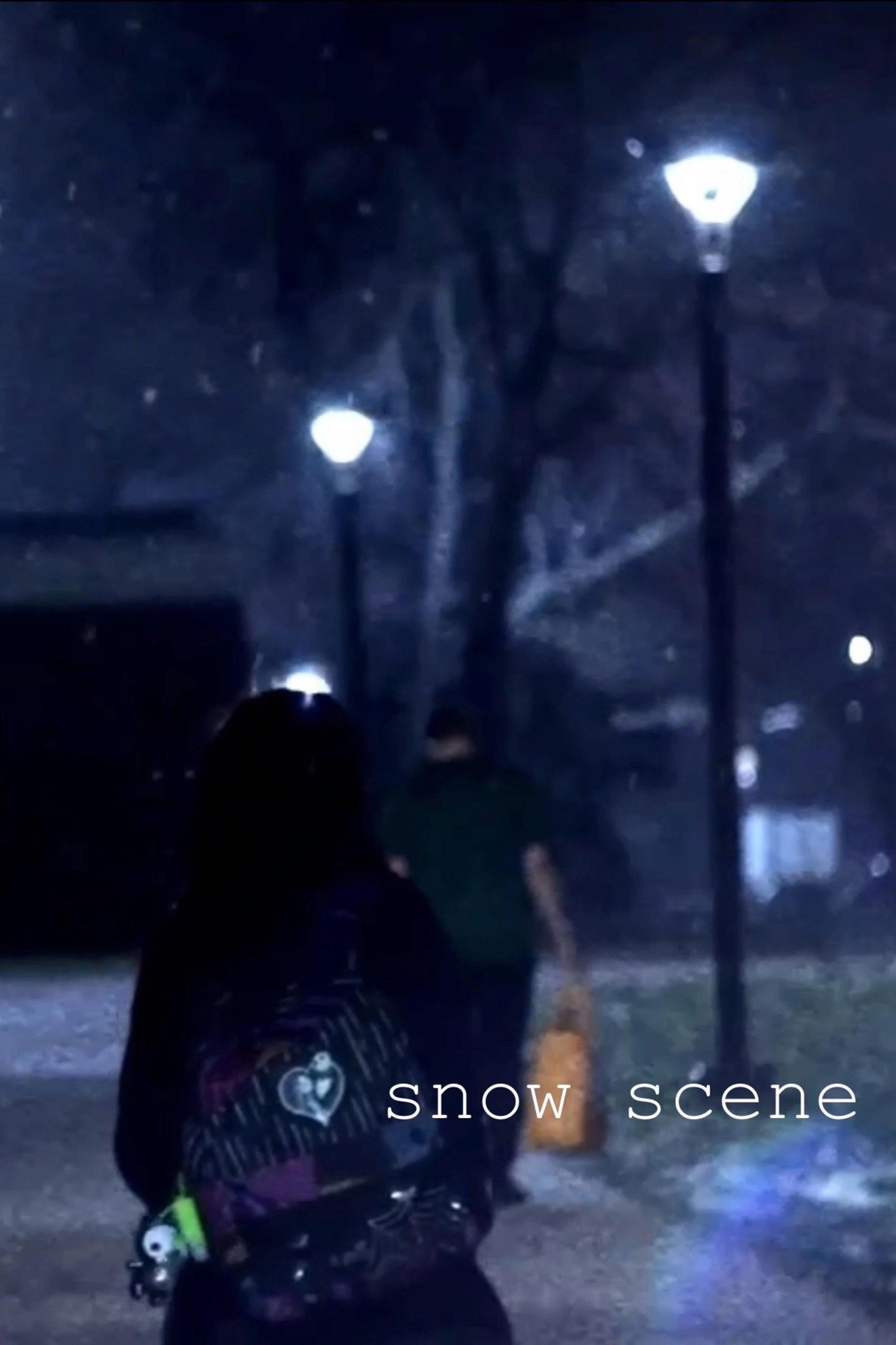 Snow Scene