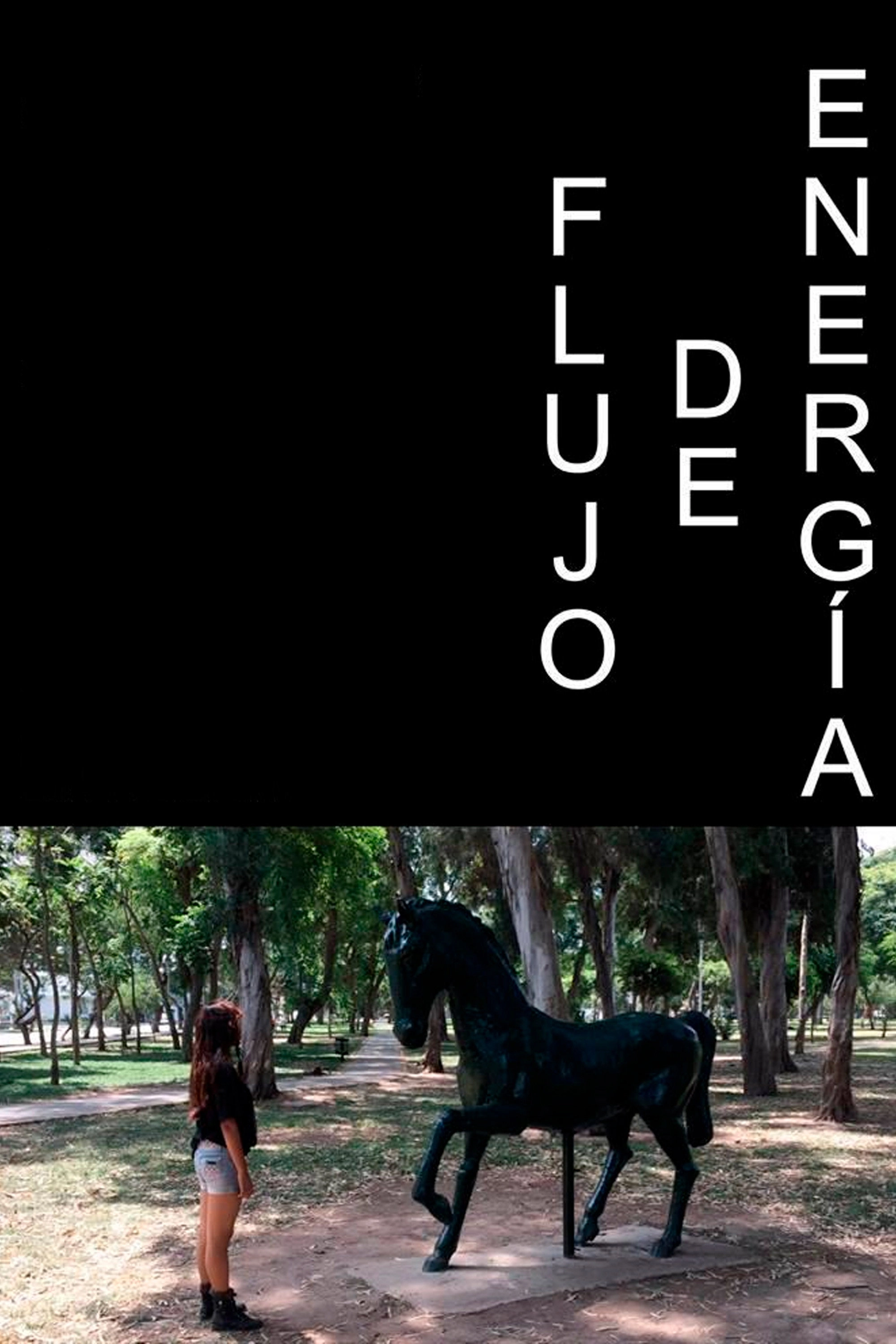 Flujo de Energía