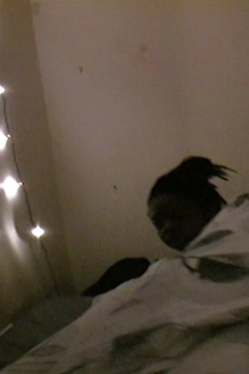 Capture 03 01 18