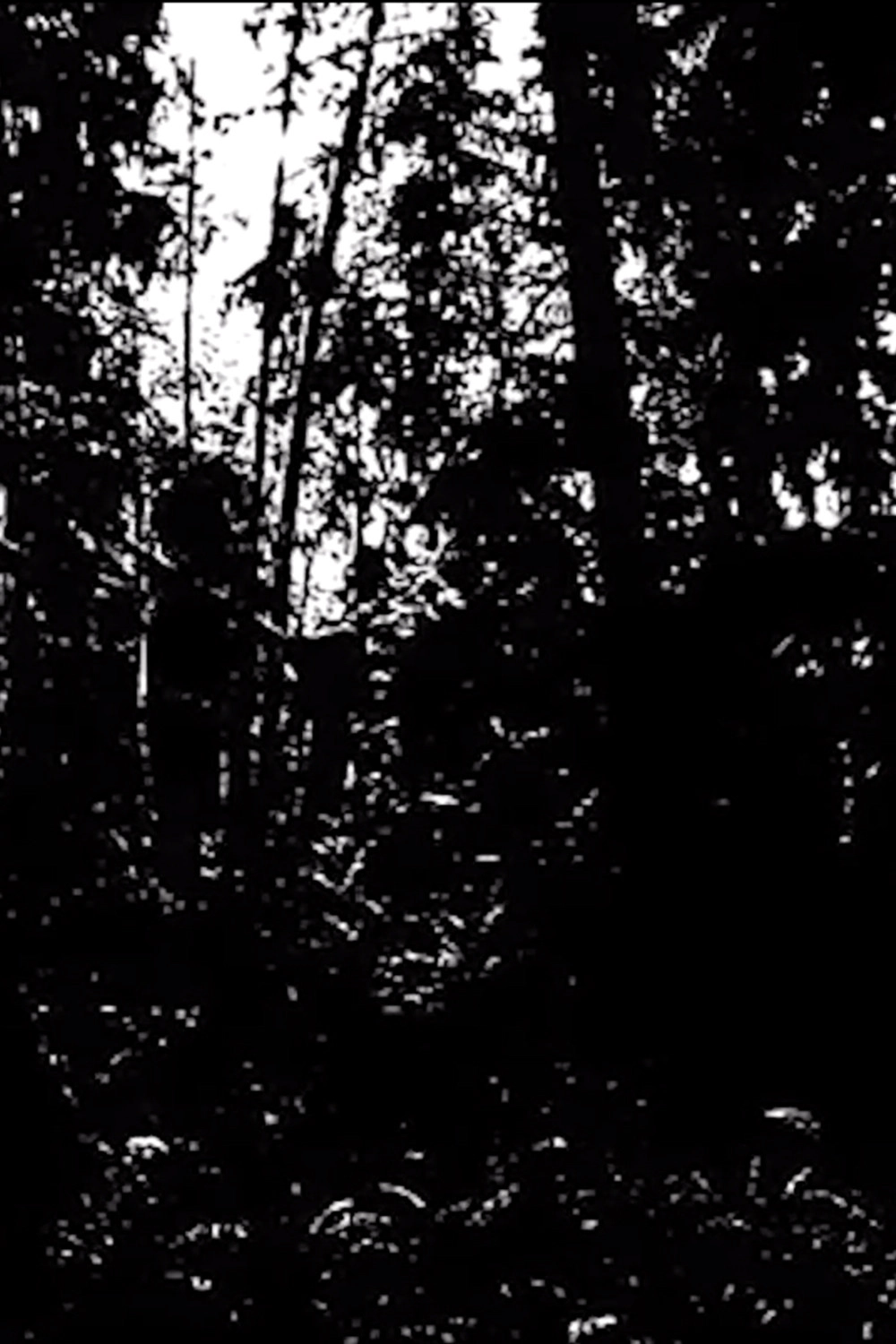 Earth Prayer - Khu.éex