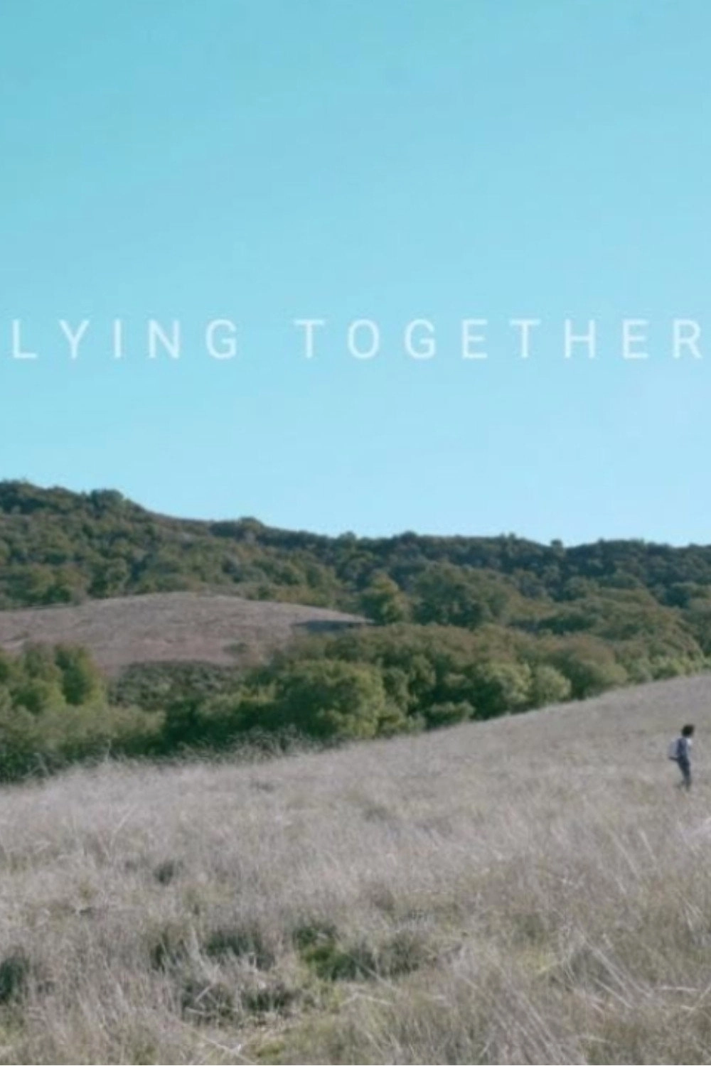 Lying Together