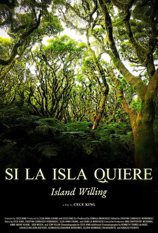 Island Willing