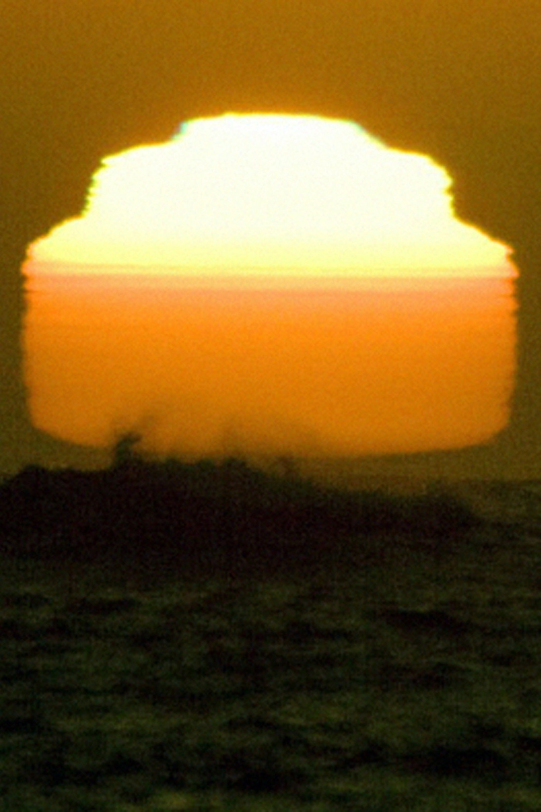 Sun (One Day Old)