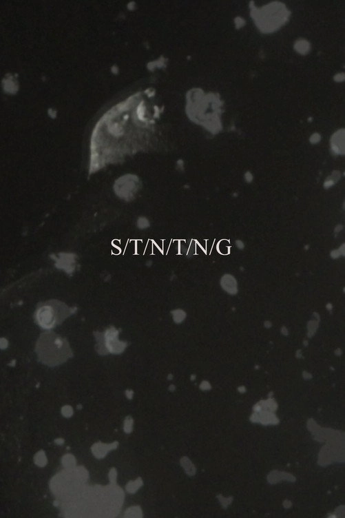 S/T/N/T/N/G