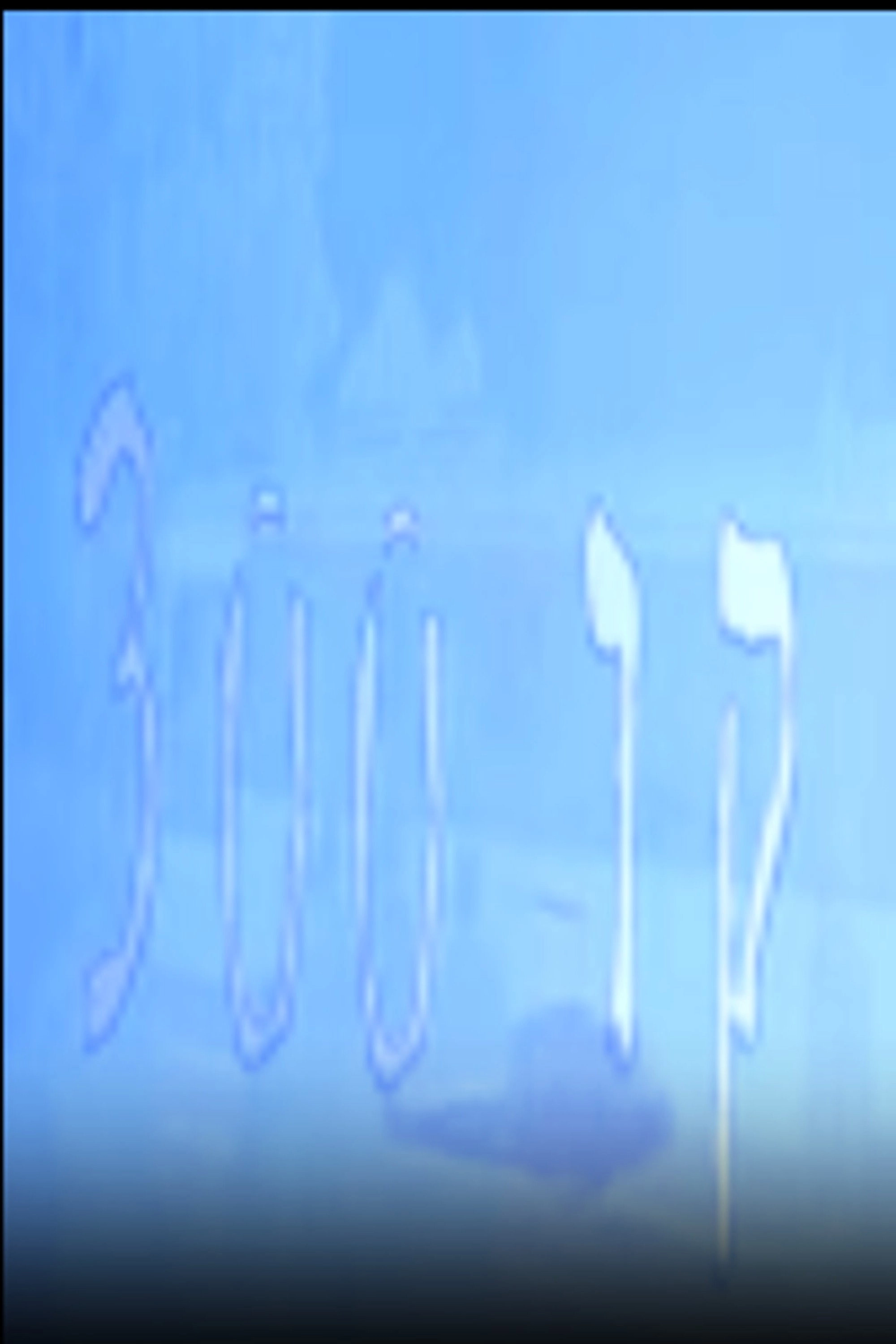 קו 300