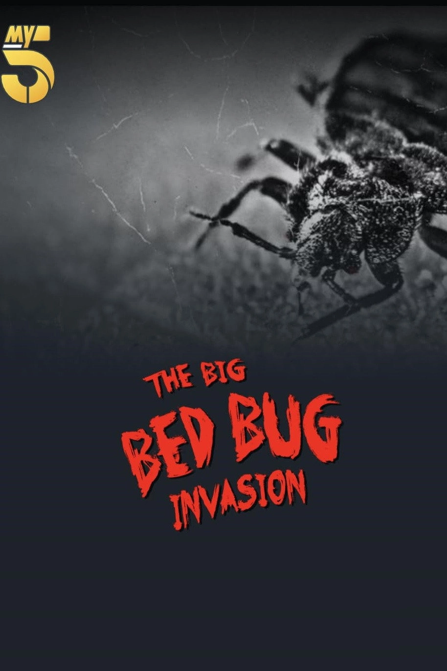 The Big Bed Bug Invasion