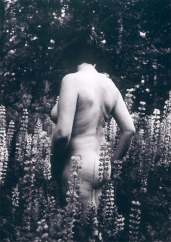 My Body
