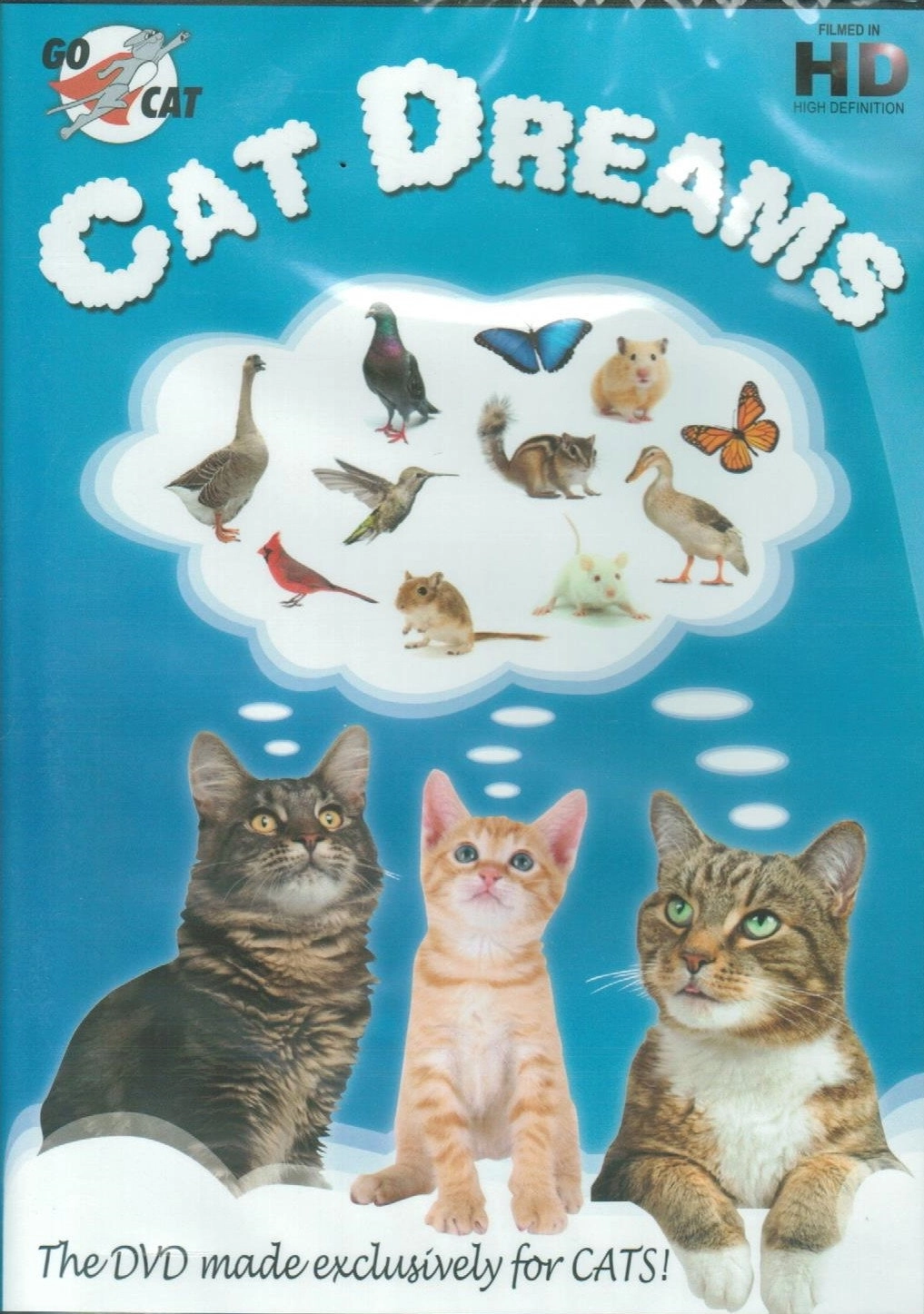 Cat Dreams