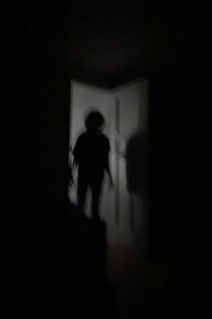 Mimic