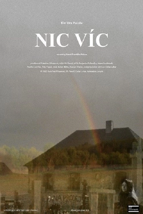 Nic víc