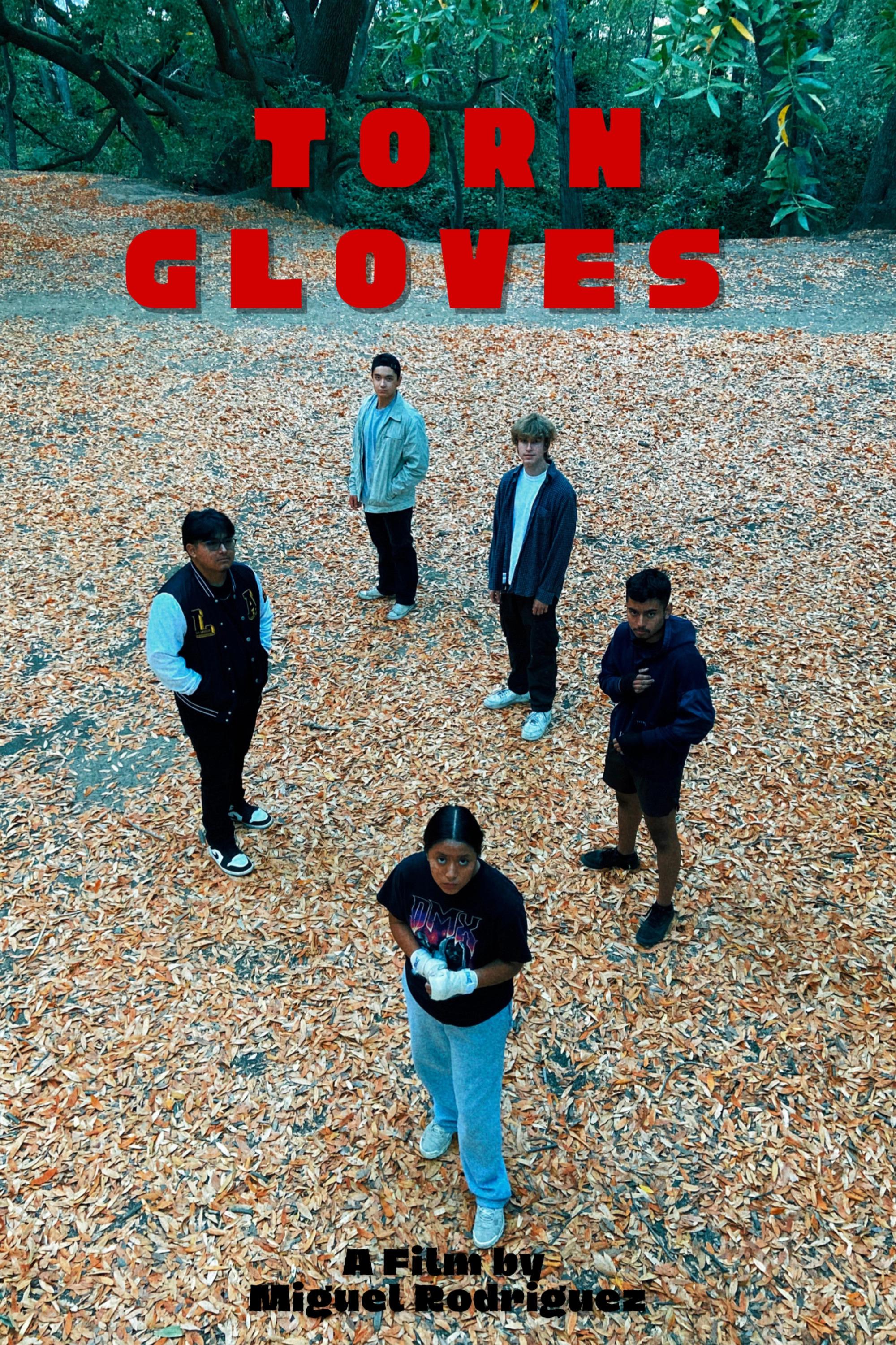 Torn Gloves