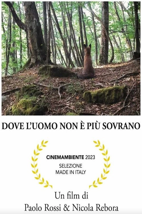 Dove l'uomo non è più sovrano