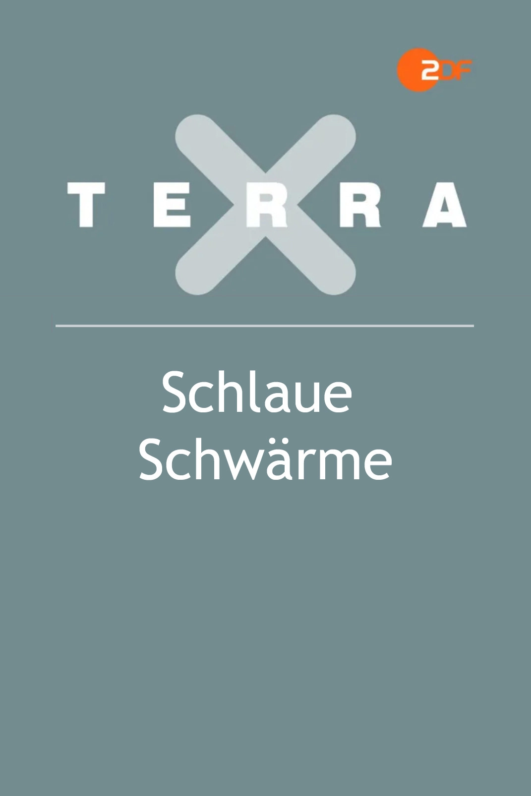 Schlaue Schwärme