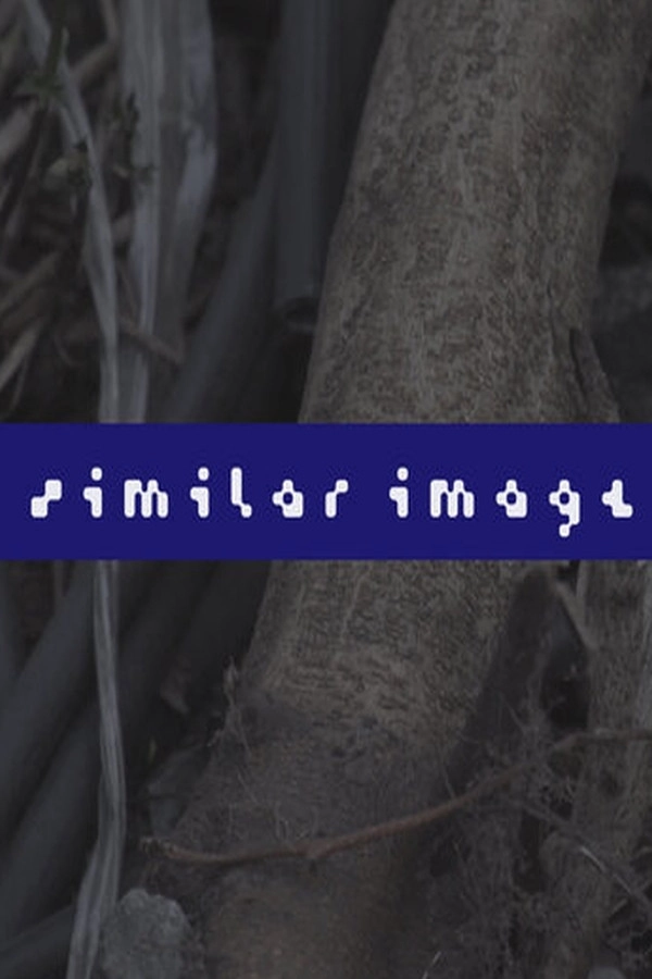 Similar Image