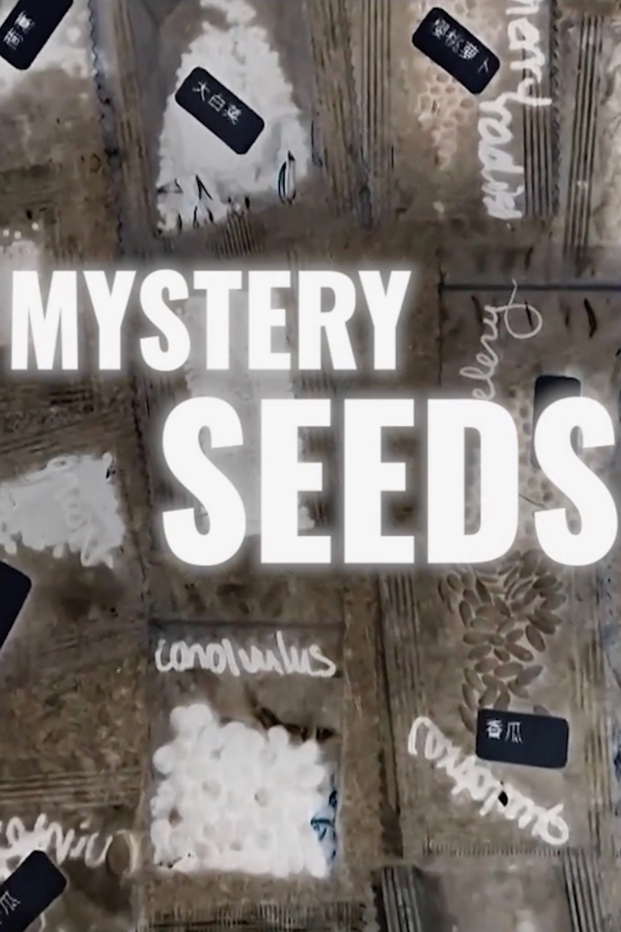 Mystery Seeds