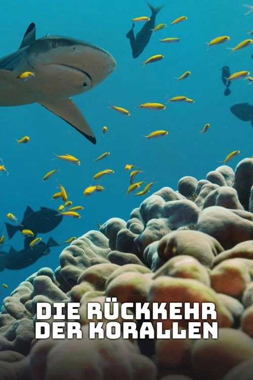 Super Reefs