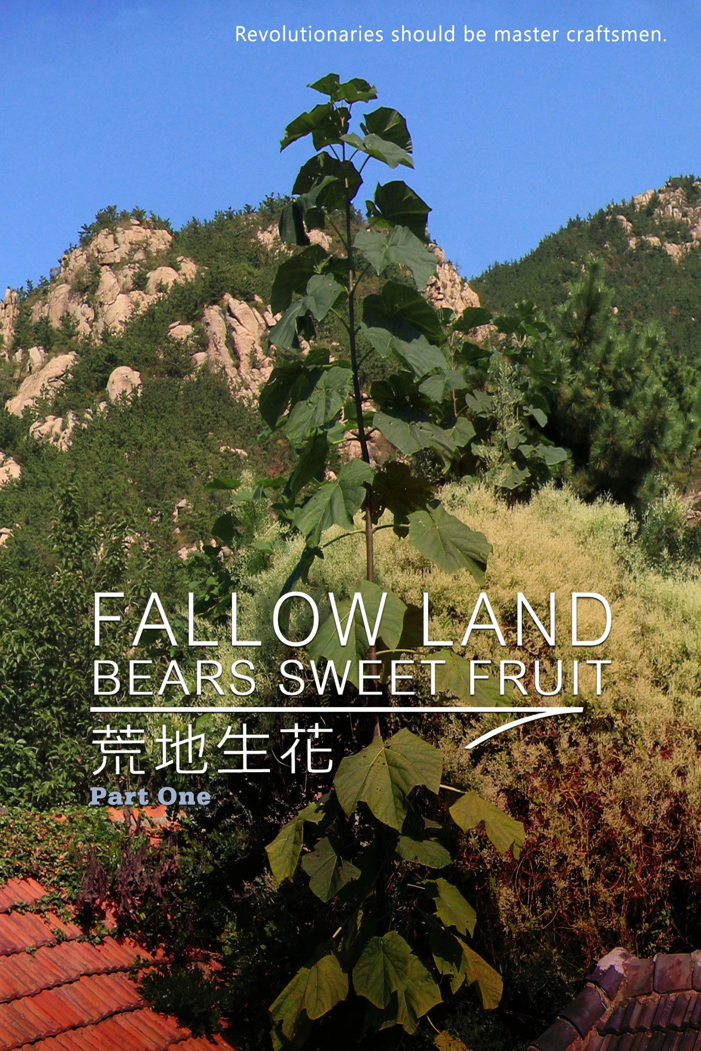 Fallow Land Bears Sweet Fruit