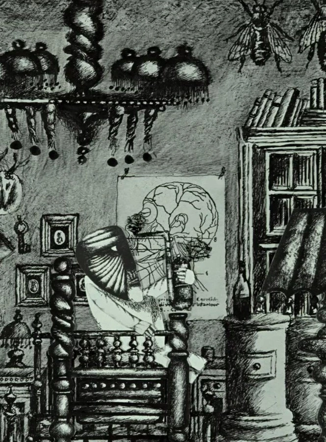 Camera Obscura