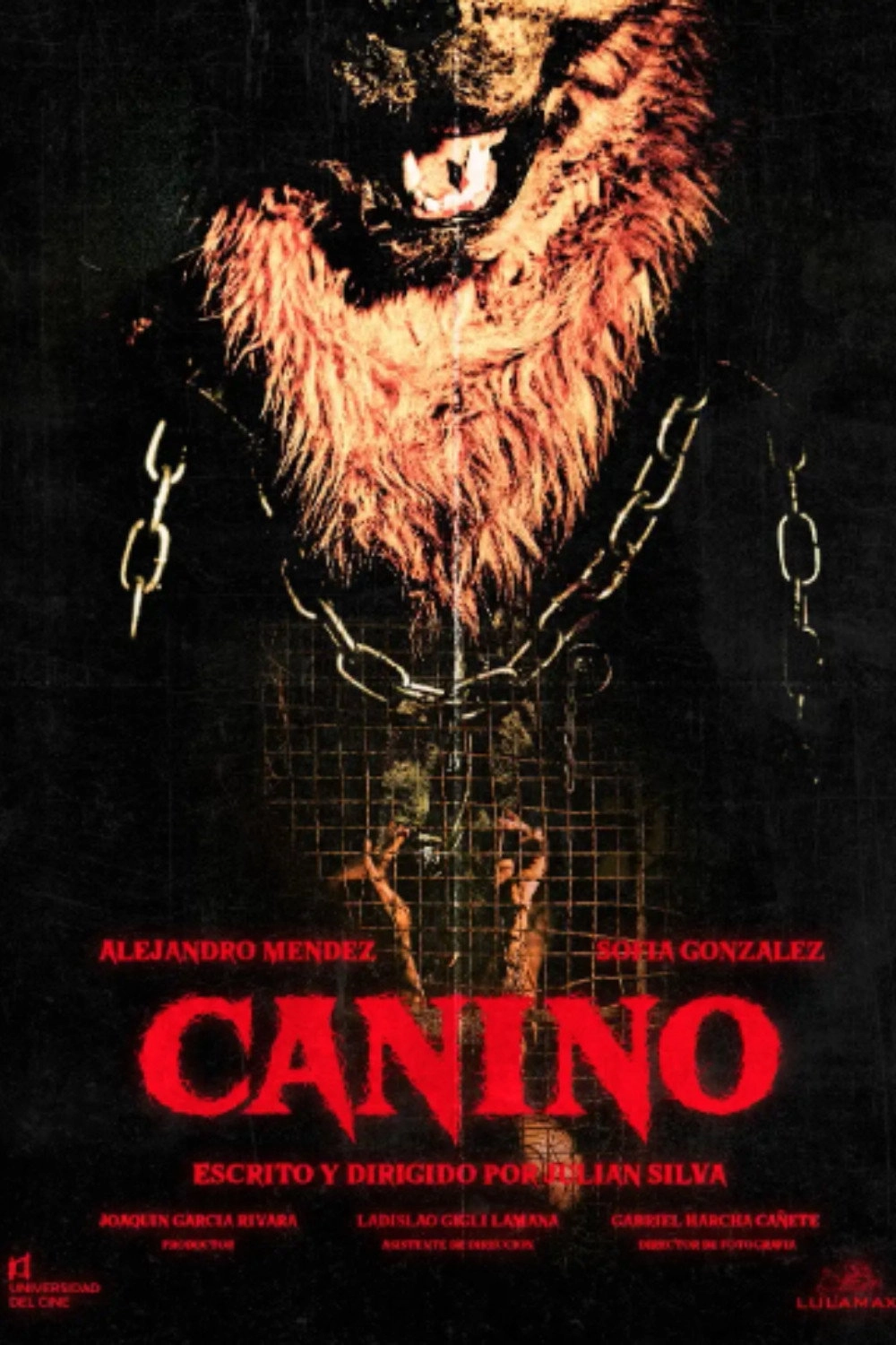 Canino