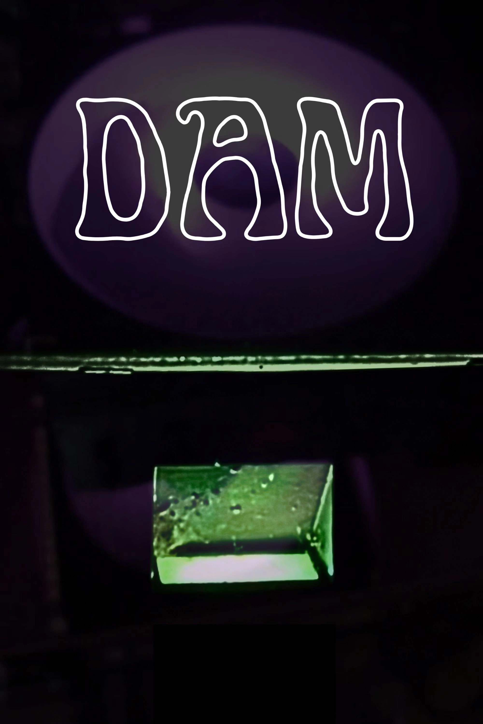 Dam