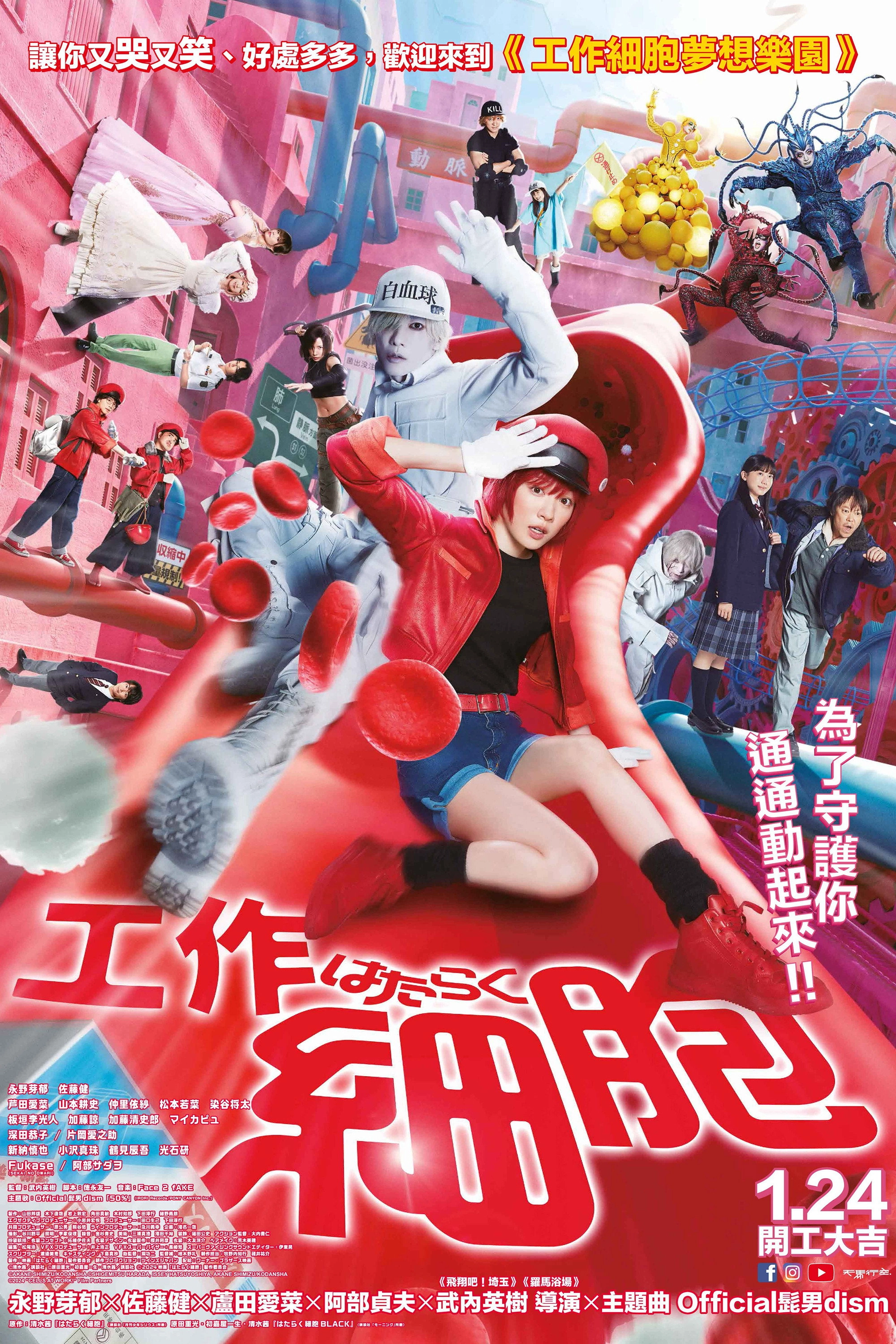 Cells at Work!
