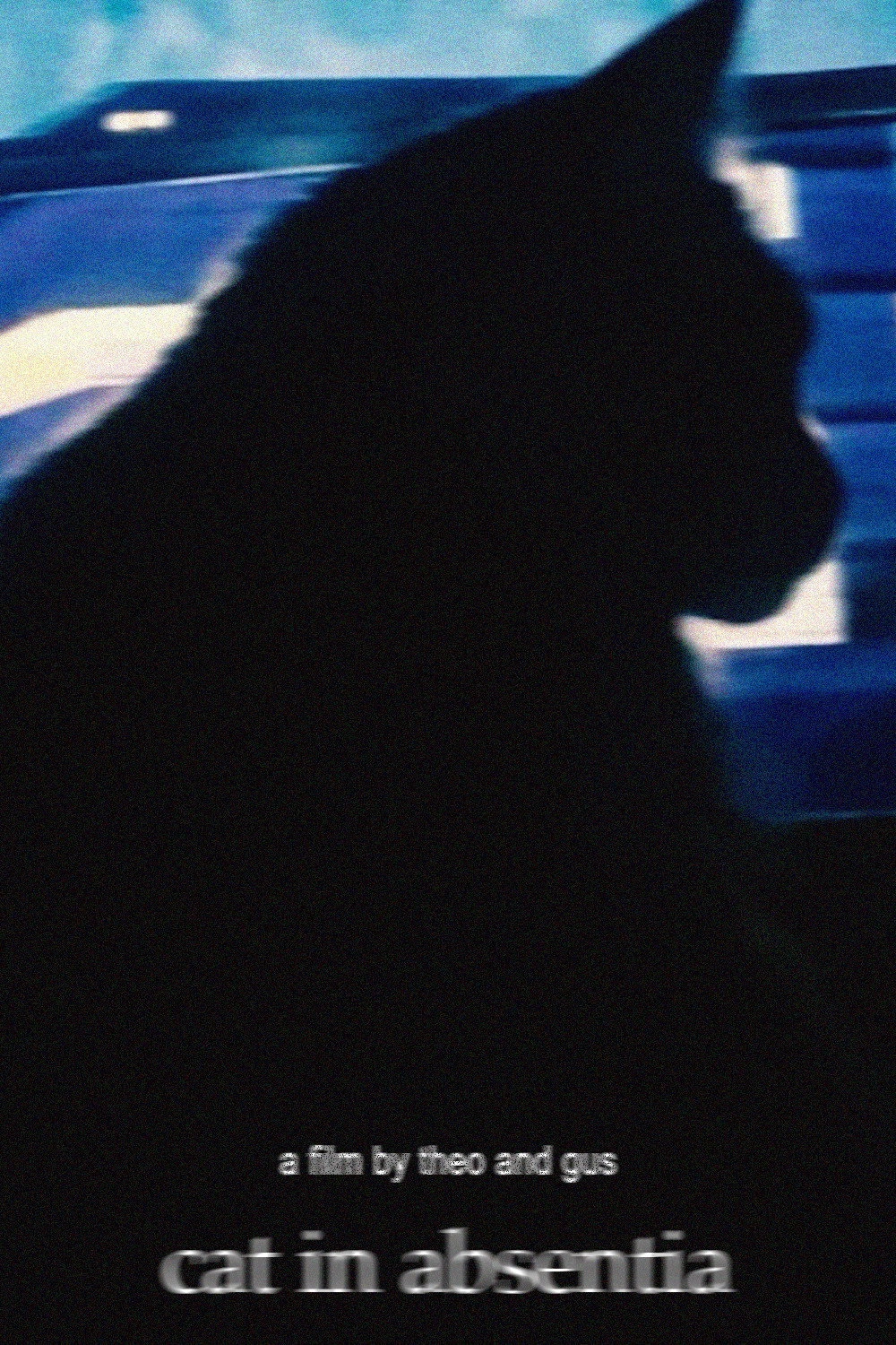 Cat in Absentia