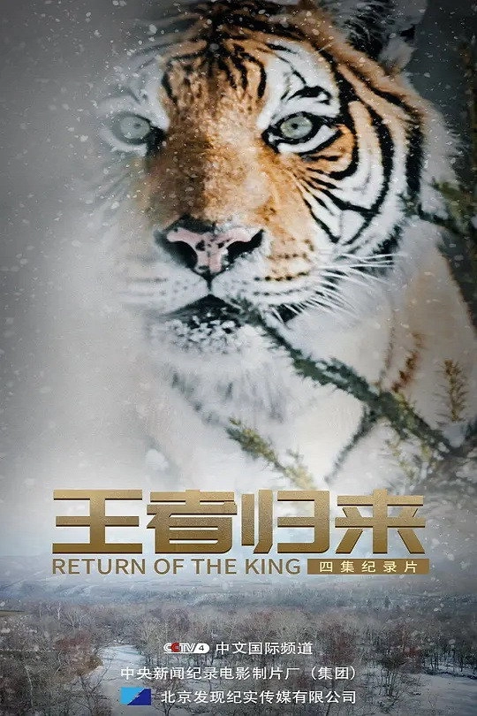 王者归来