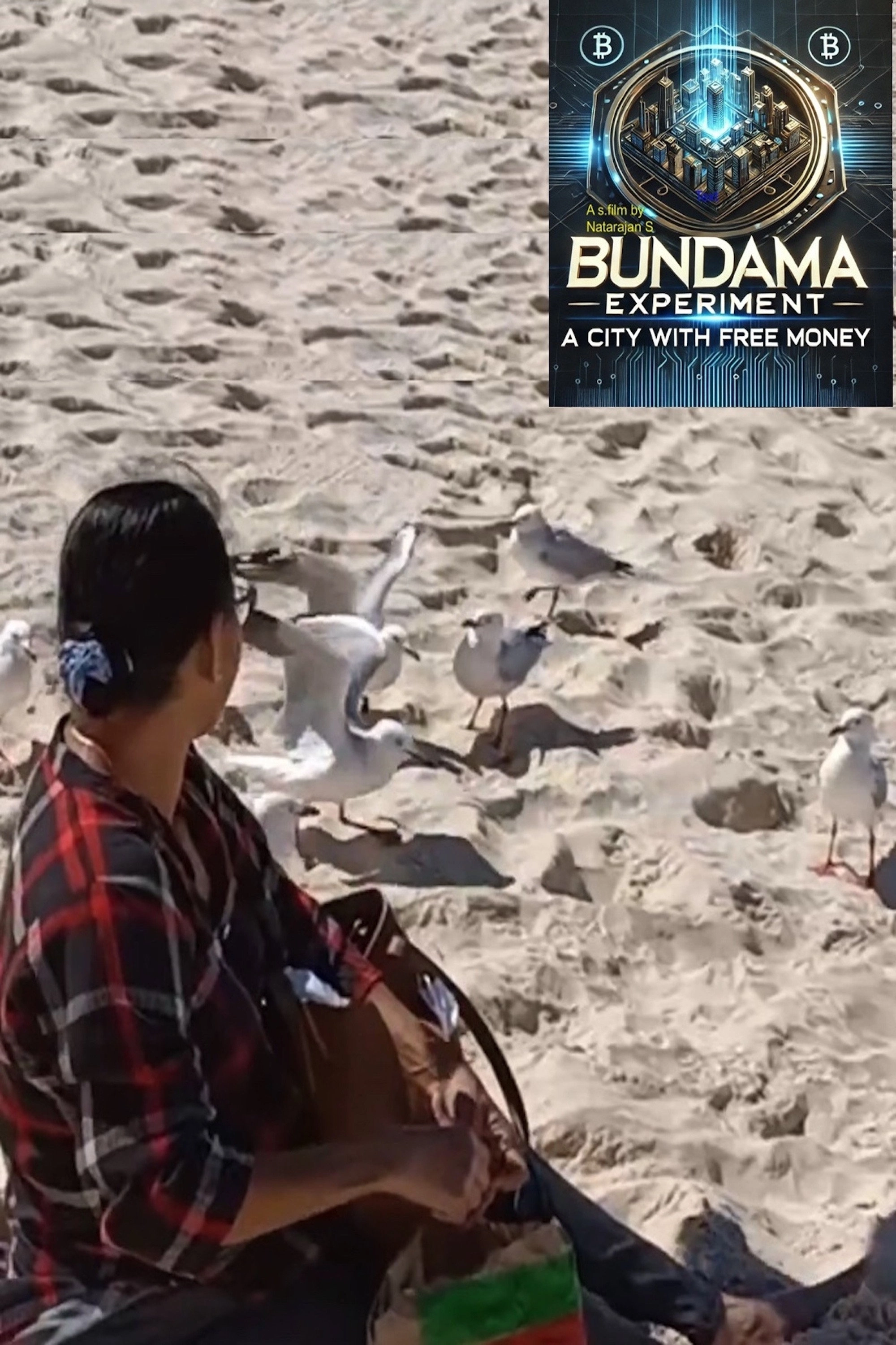 Bundama Experiment