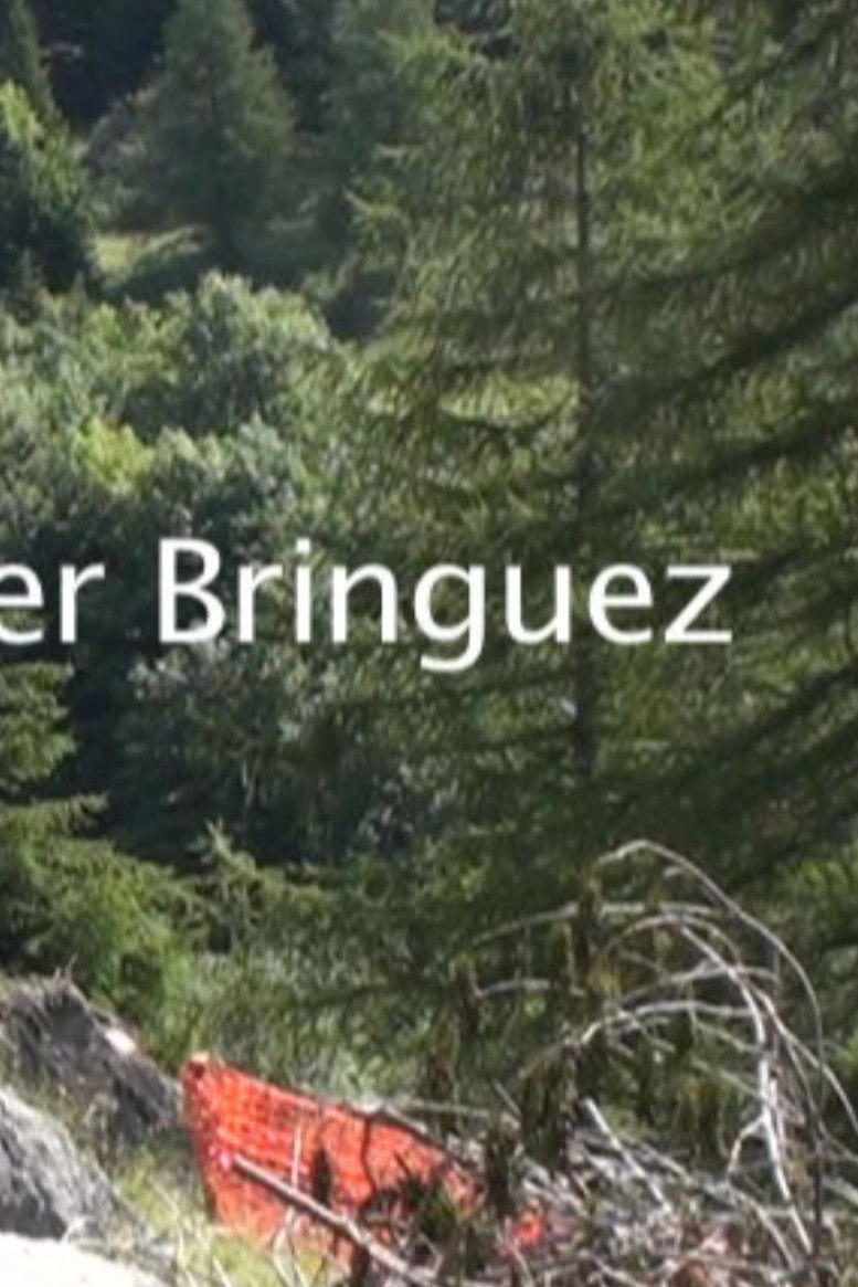 The road for Bringuez