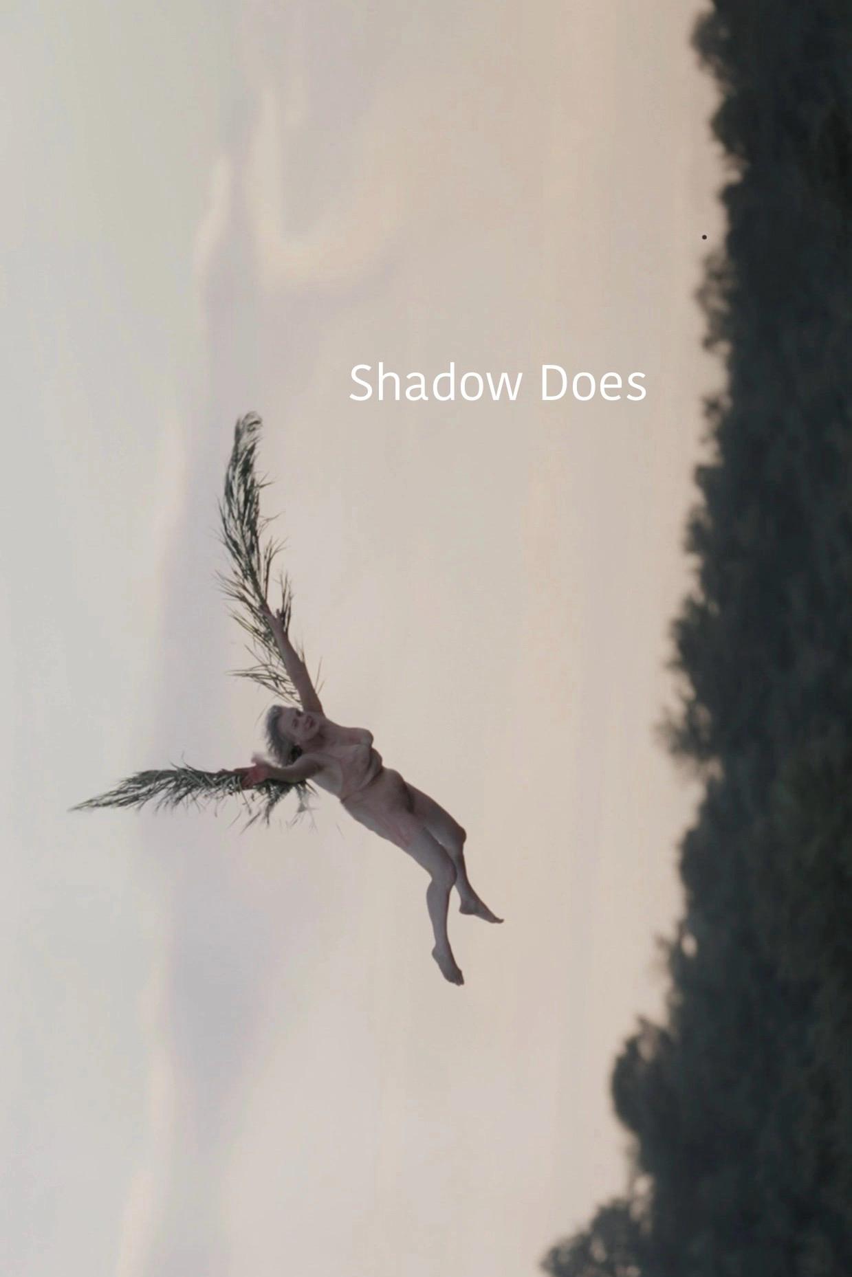 Shadow Does