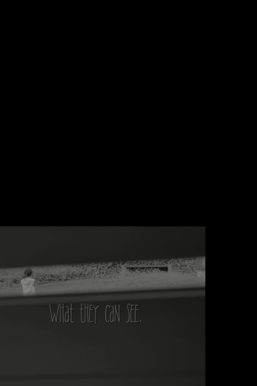 What they can see