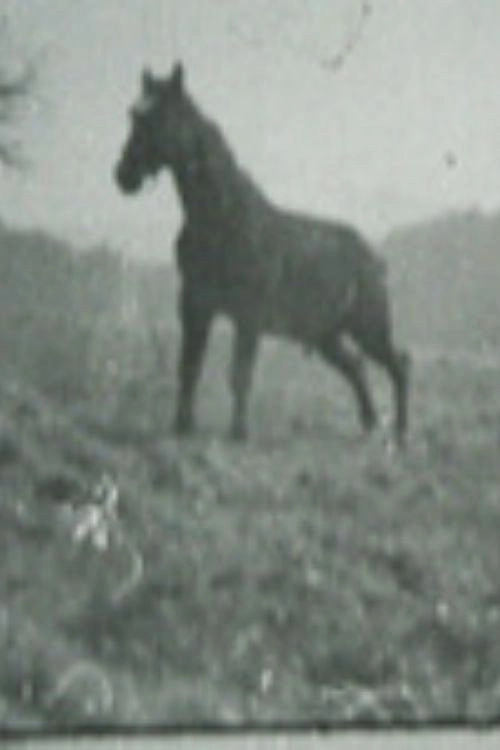 Golan