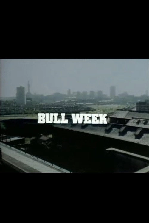 Bull Week