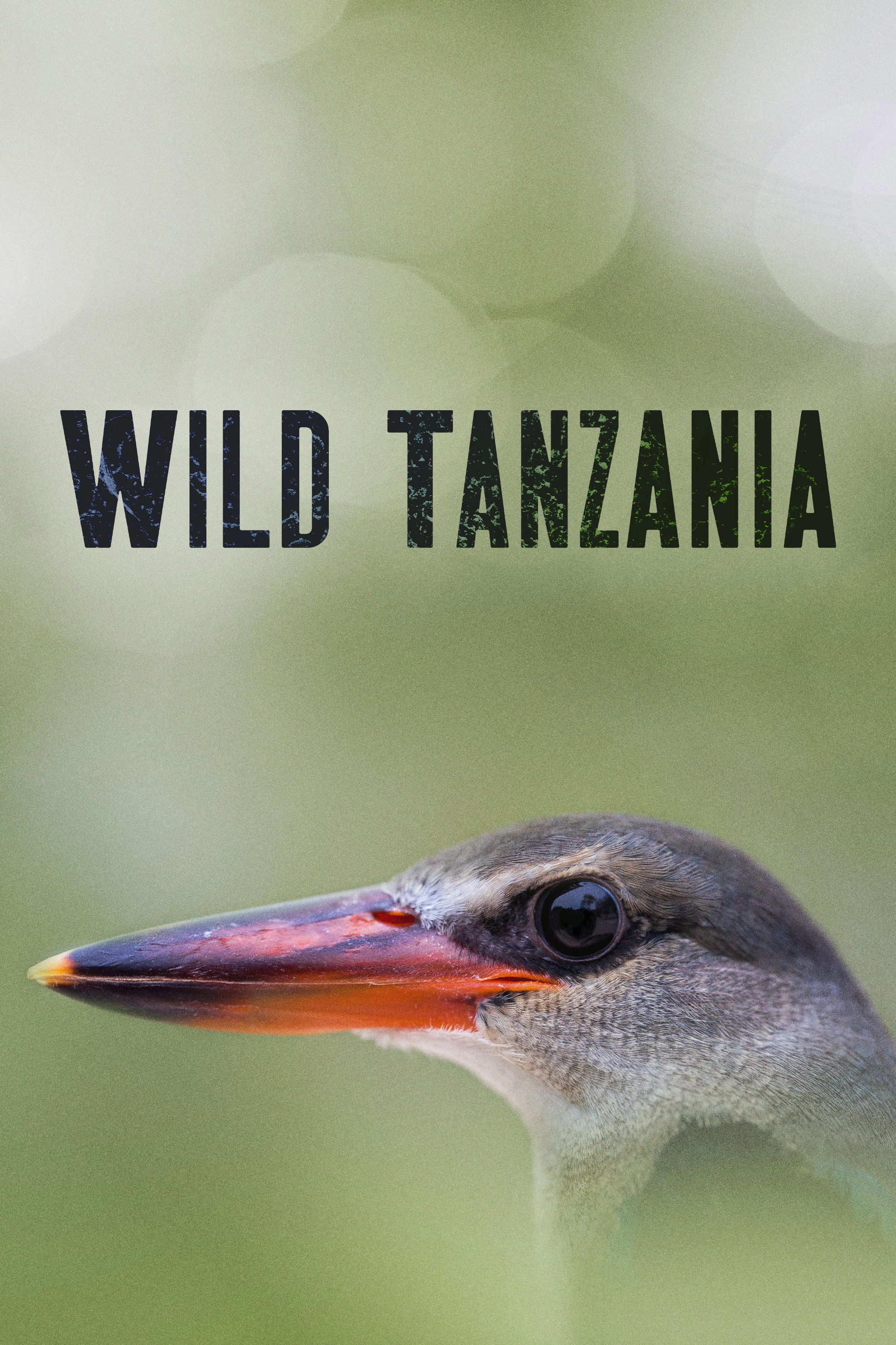 Wild Tanzania